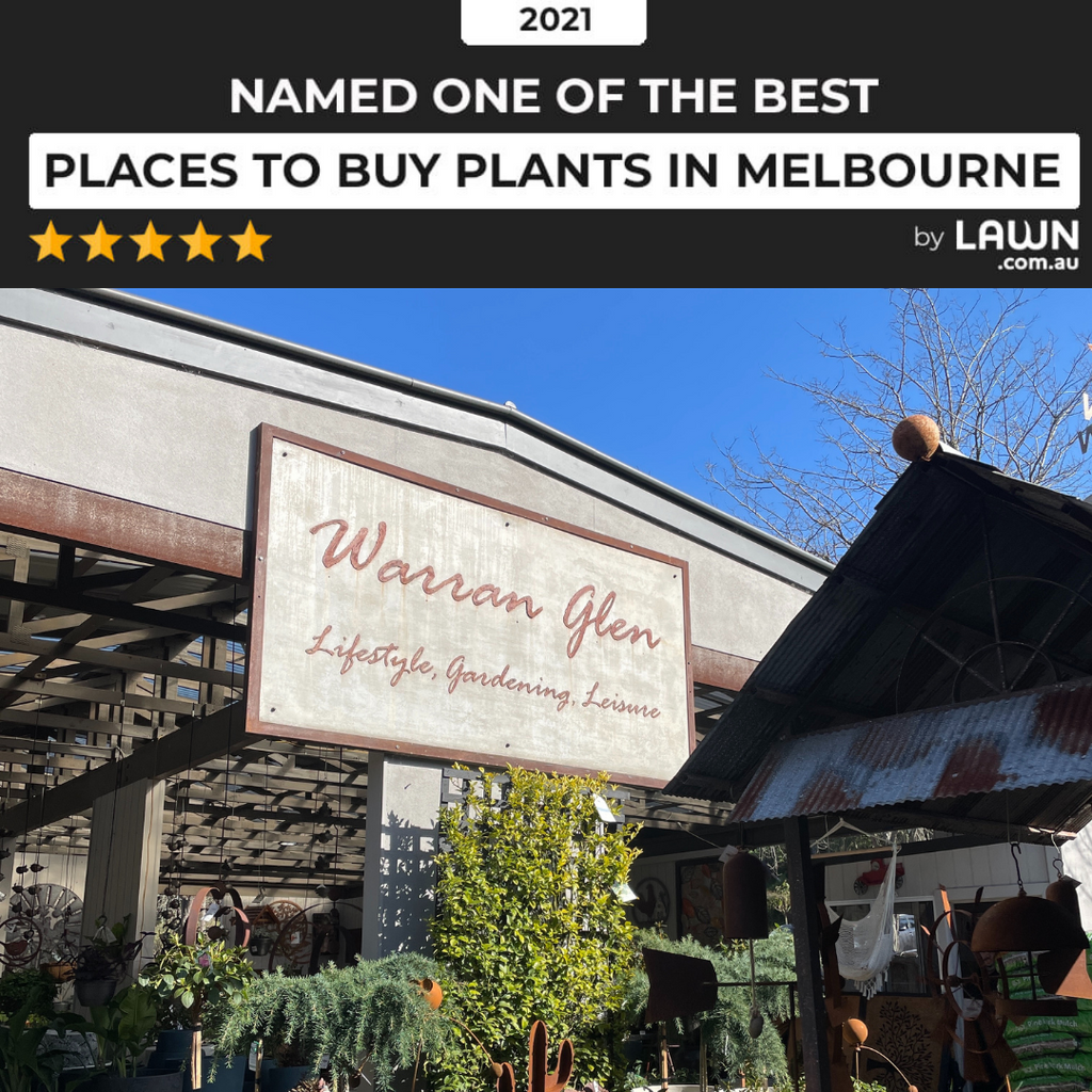 Named One of the Best Places to Buy Plants in Melbourne