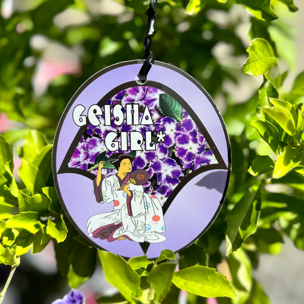 Duranta Geisha Girl Standard - 20cm Pot