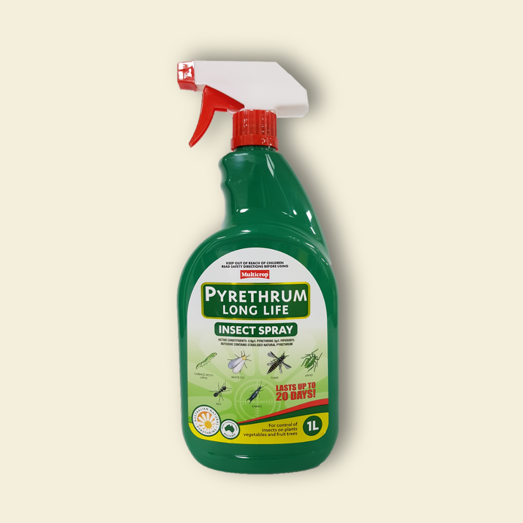 Pyrethrum Long Life Insect Spray - 1L