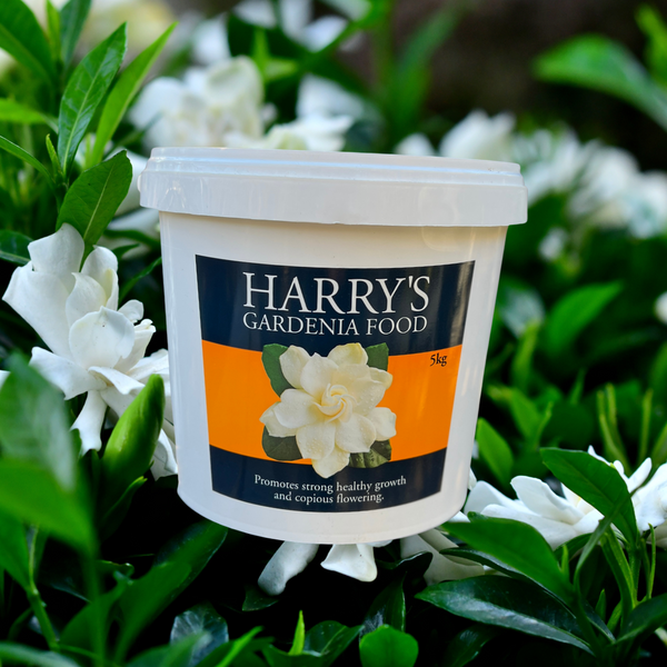 Harry's Gardenia Food - 5kg
