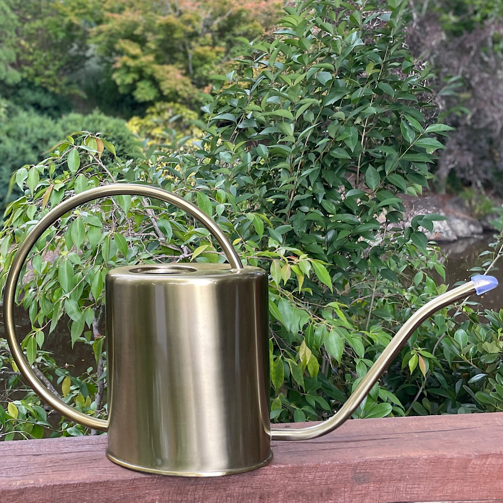 Watering Can 1.5L - Brass