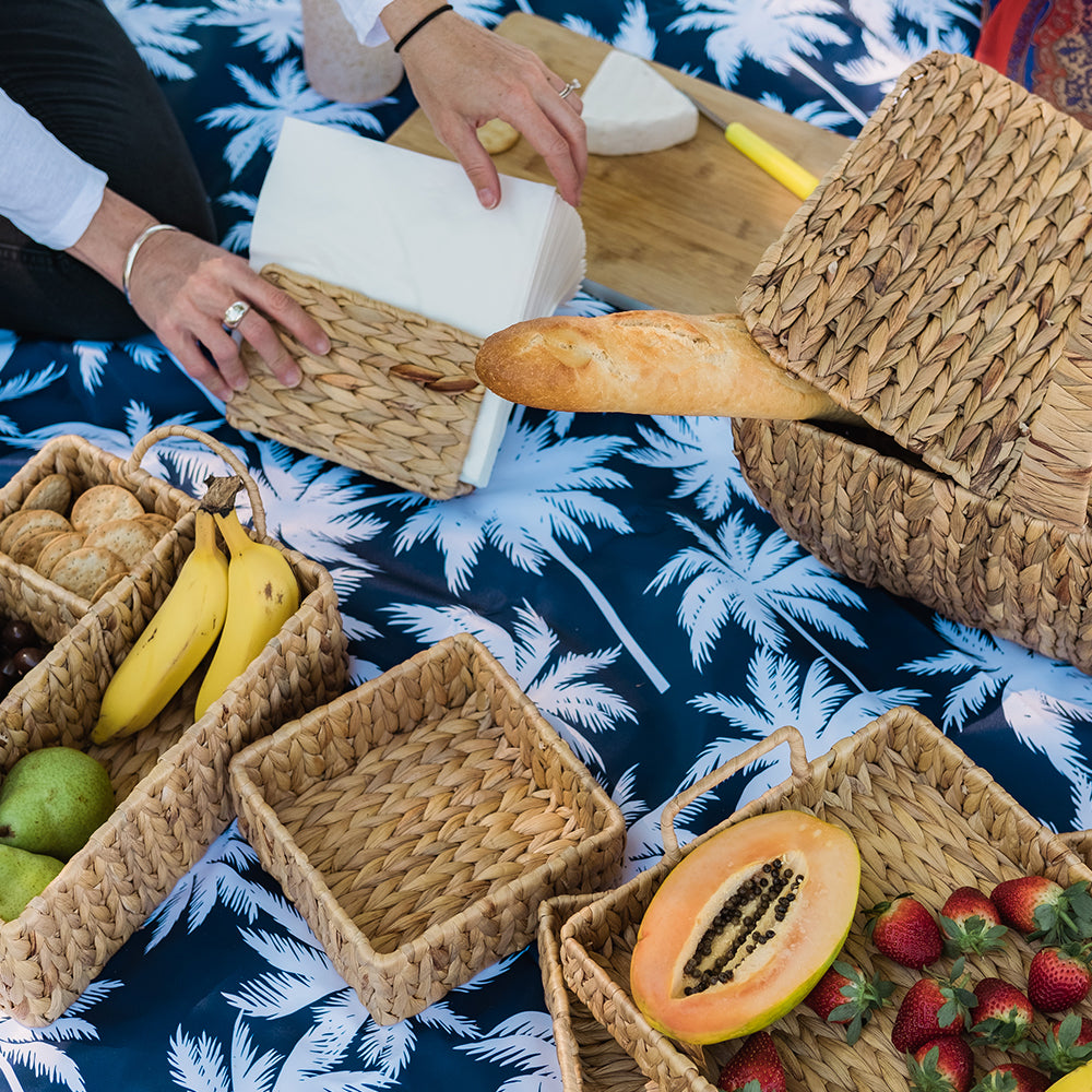 Picnic Weather