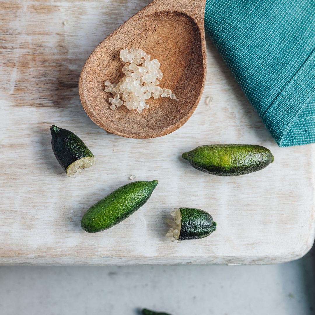 Bush Tucker: Grow your own edible natives