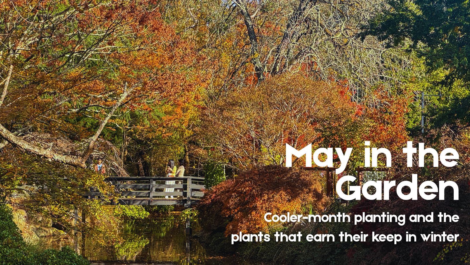 What to plant, prune and notice in May