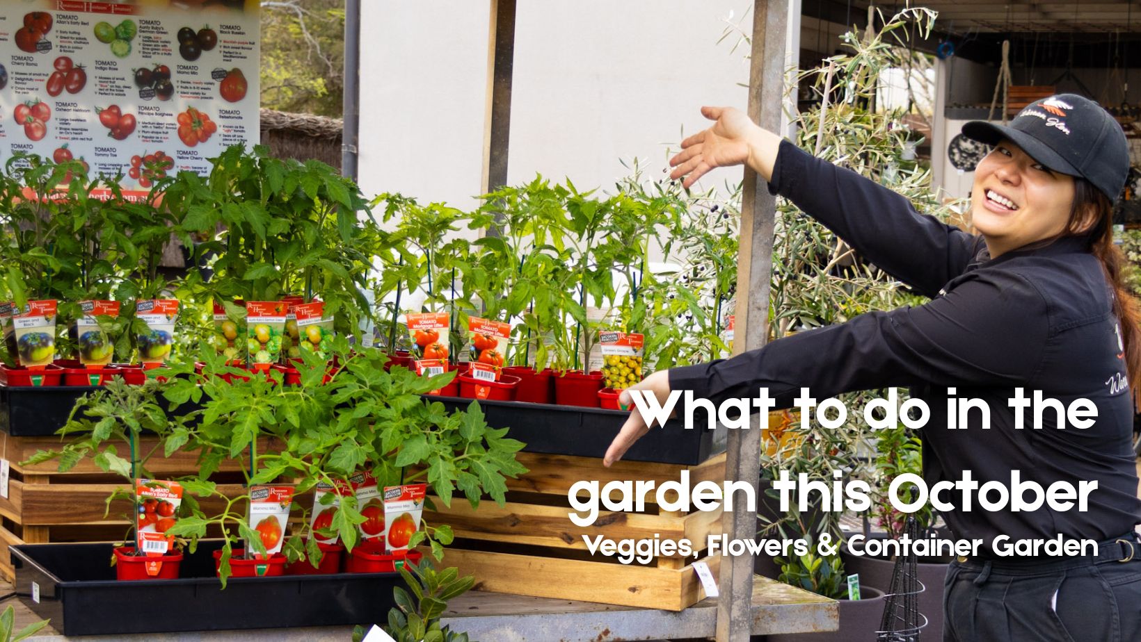 Spring in the Garden