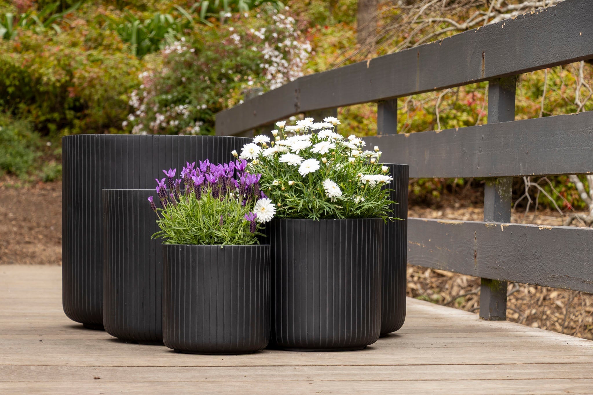 Container Garden Care: Keeping Your Pots Thriving