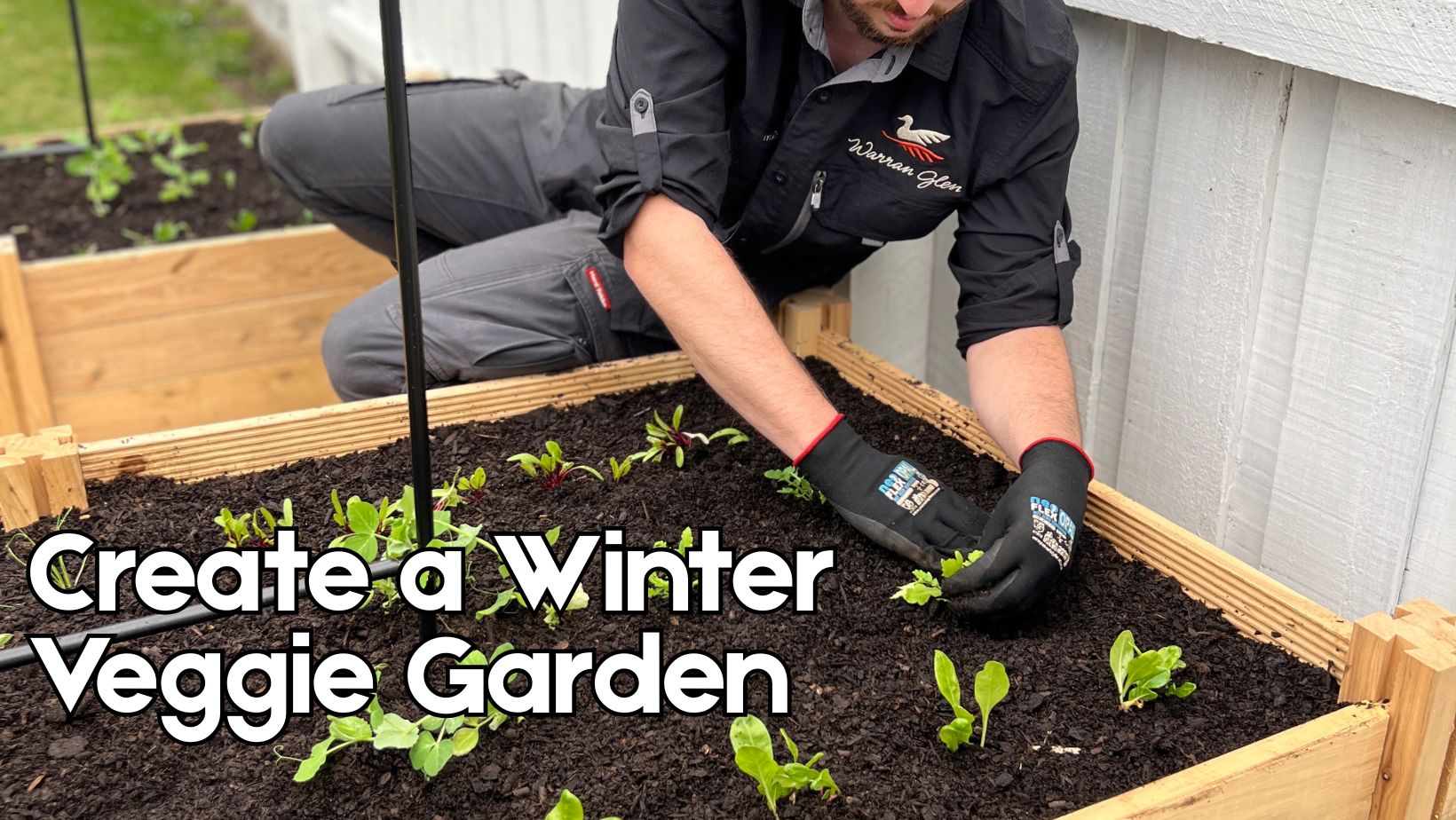 3 Tips for your Veggie Garden this Winter