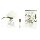 Single Rose Ivory White - Clear Glass With Silver Badge