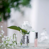 Rose Bud Ivory White - Clear Glass