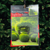 Buxus Ball - 33cm Pot