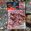 Acer Inaba Shidare - 33cm Pot