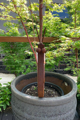 Snail Stake - Large