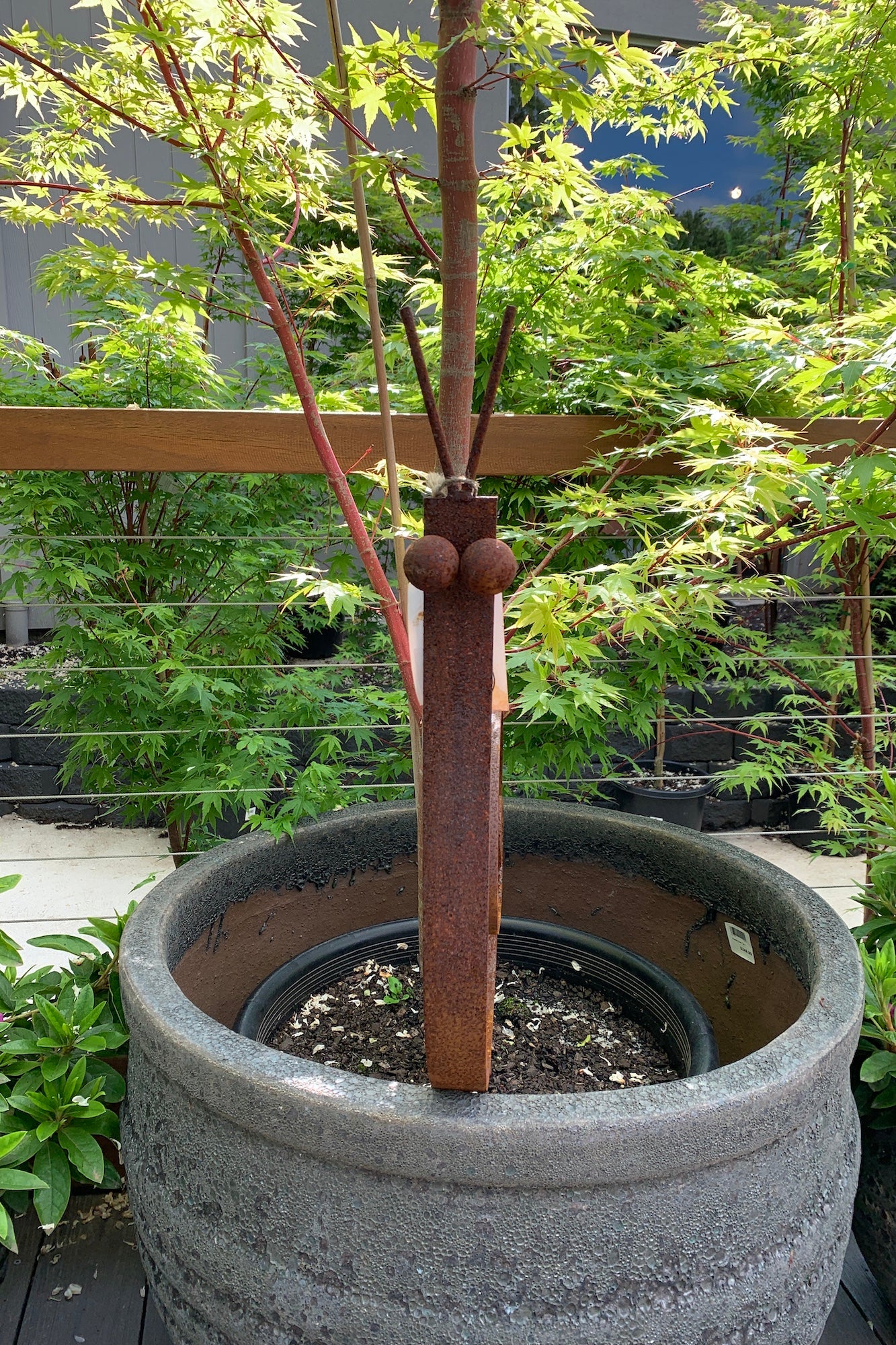Snail Stake - Large