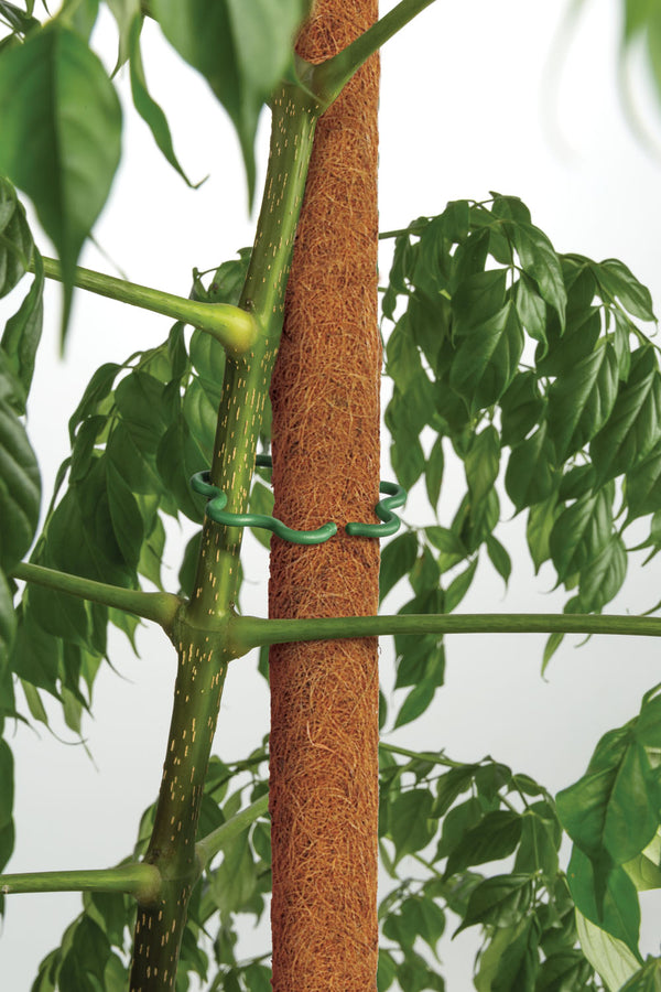 Coco Plant Pole - 45cm