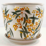 Wattle Planter -