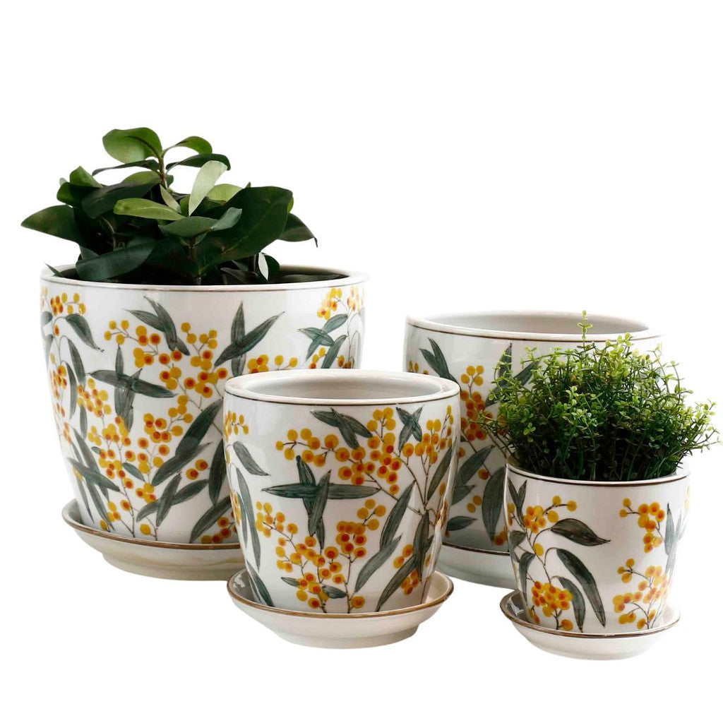 Wattle Planter -