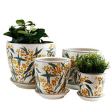 Wattle Planter -