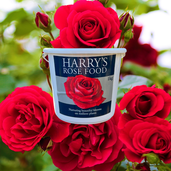 Harry's Rose Food - 1kg