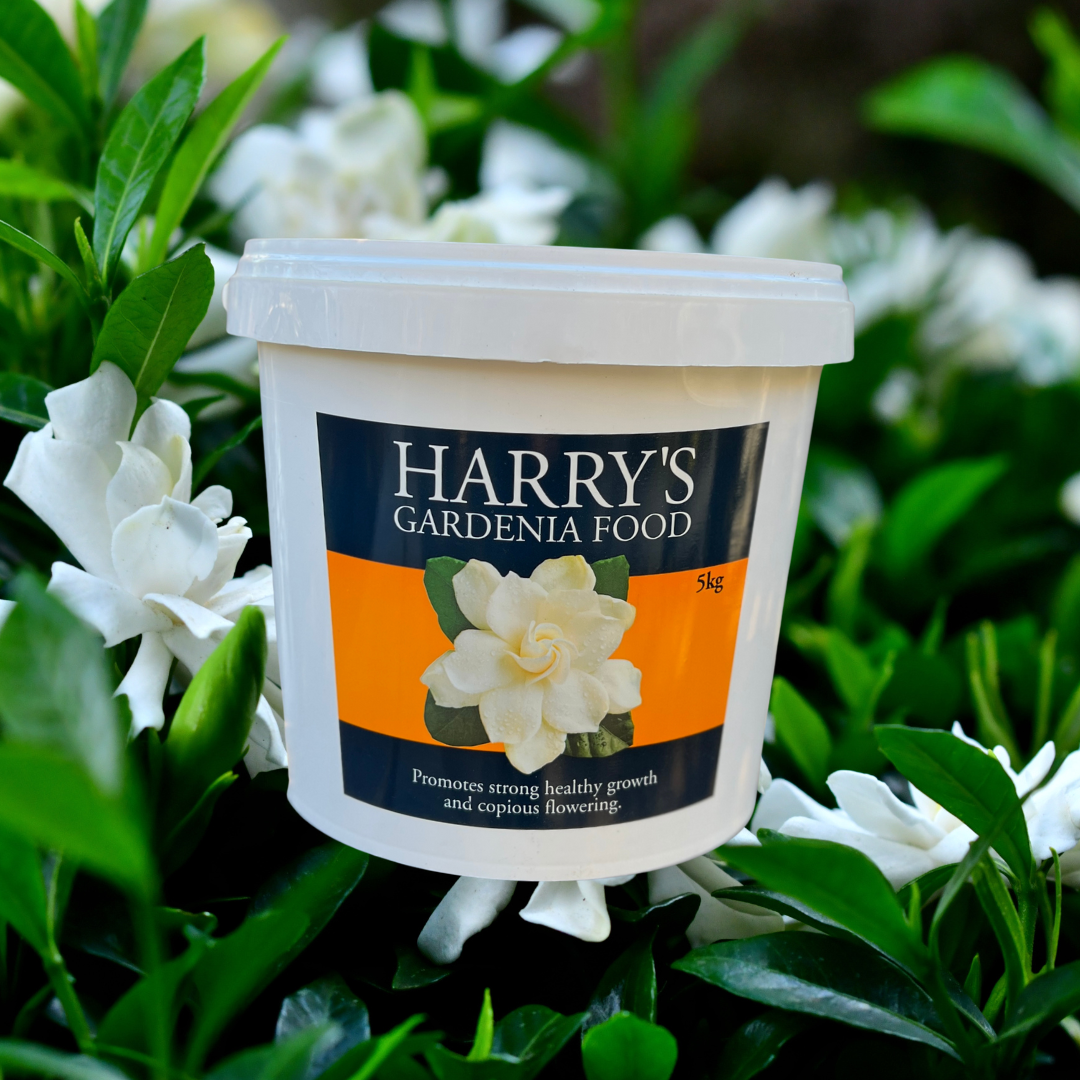 Harry's Gardenia Food - 1kg