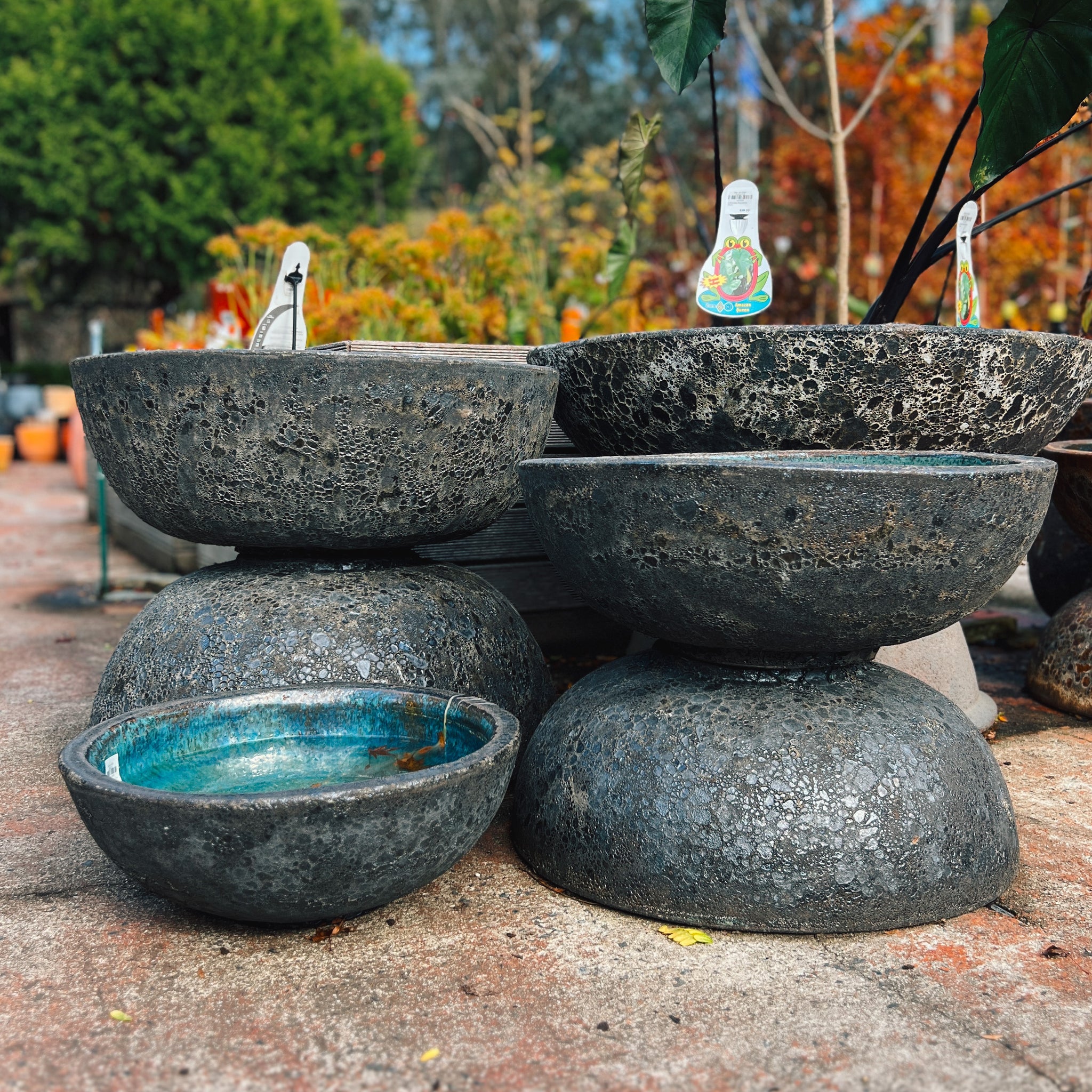 Fossil Lotus Water Bowl - Lava