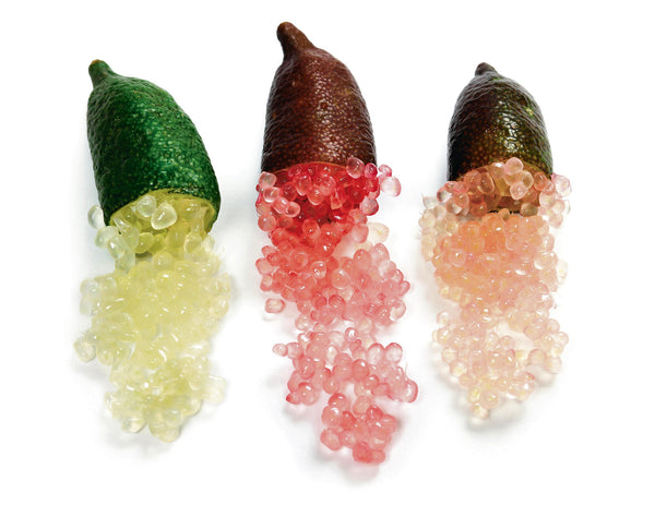 Finger Lime Crystal - 18cm Pot