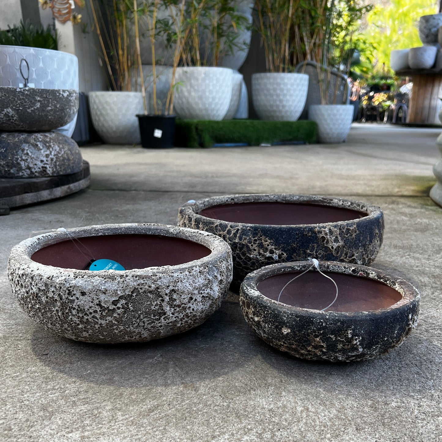 Succulent Bowl - Oceanic White