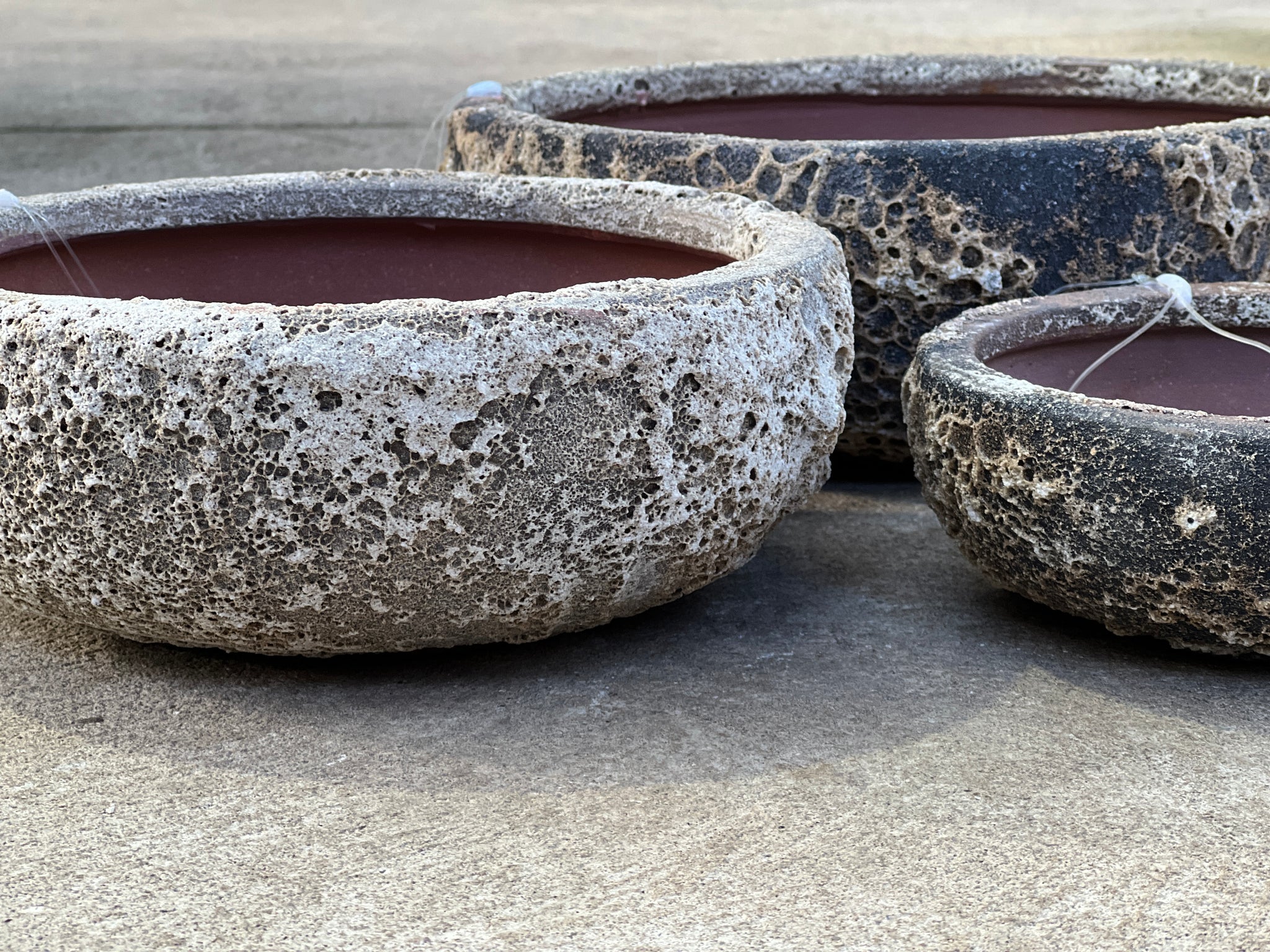 Succulent Bowl - Oceanic White