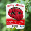 Raspberry Autumn Bliss - 15cm Pot