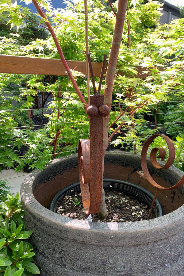 Snail Stake - Small