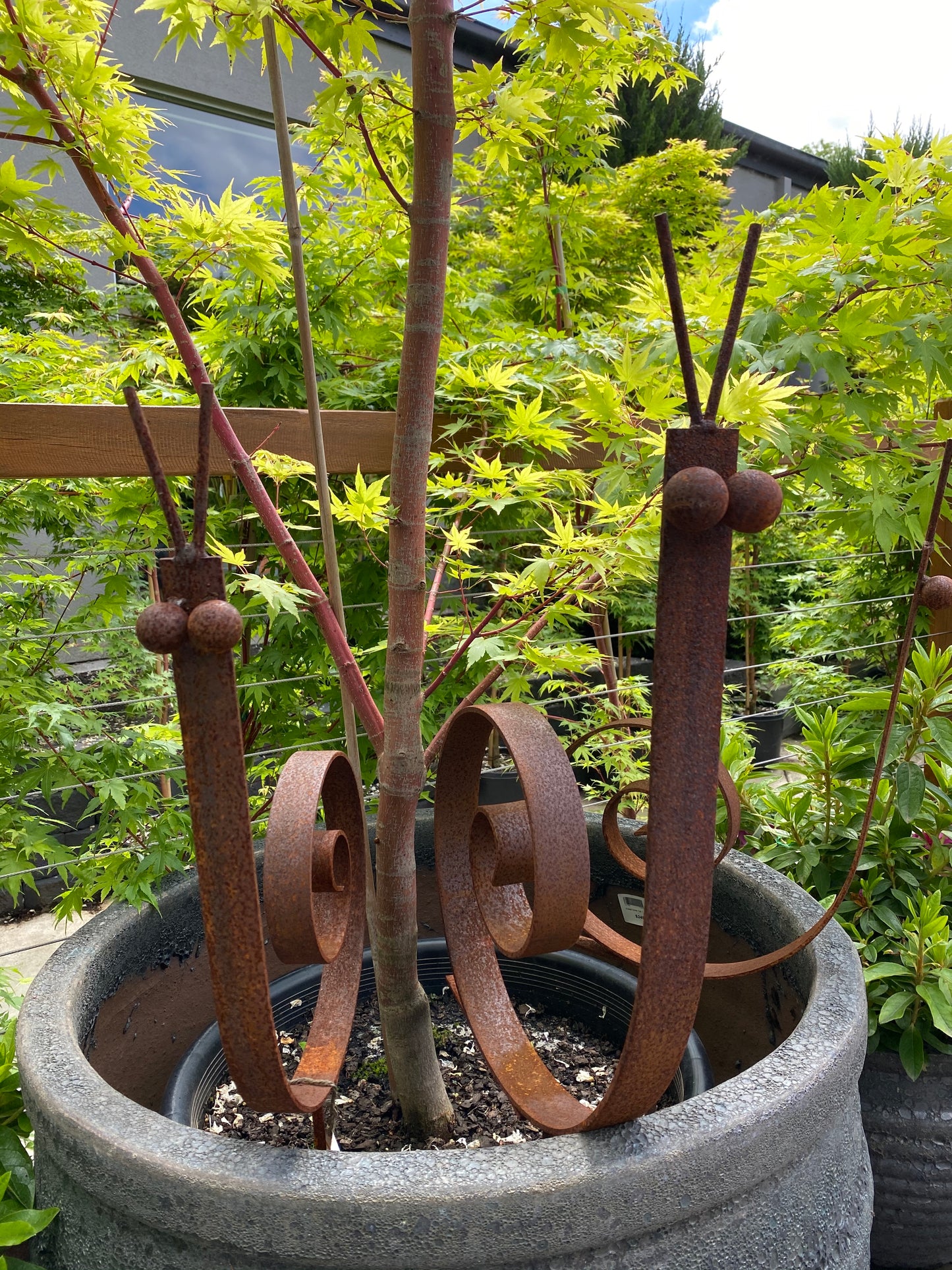 Snail Stake - Small