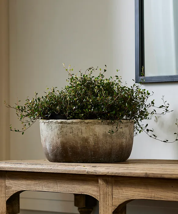 Marron Planter Bowl Large