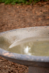 Birdbath - Alina Baby Old Stone