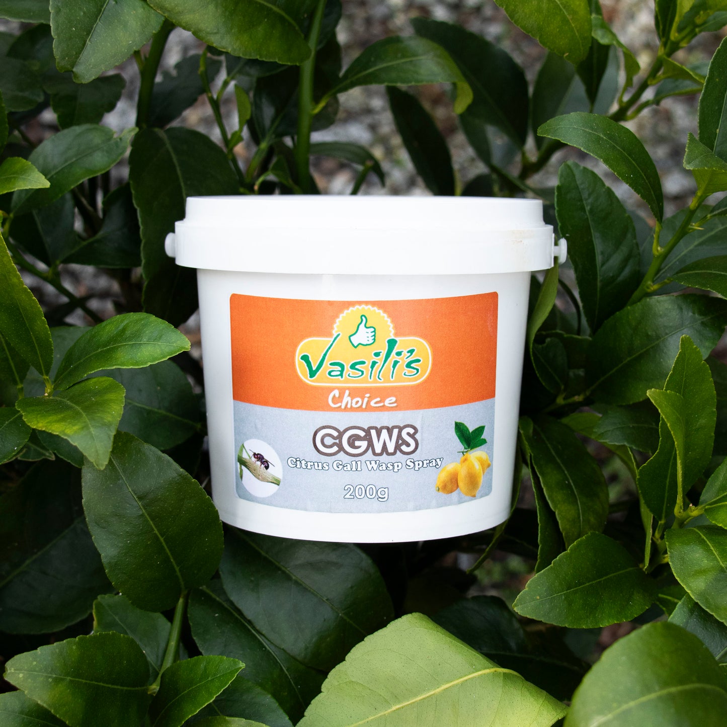 Gall Wasp Citrus Guard 200g