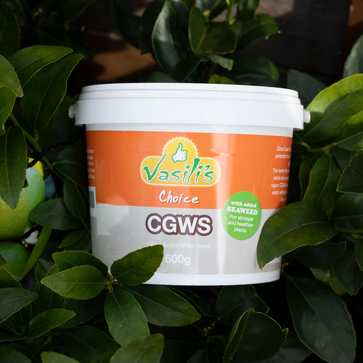 Gall Wasp Citrus Guard 600g