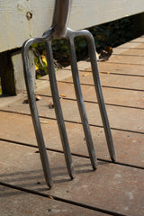 Stainless Fork