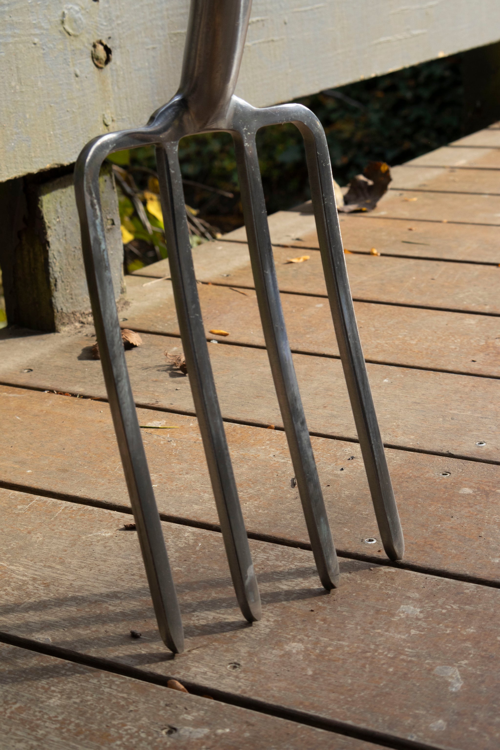 Stainless Fork