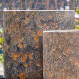 Fossil Adriatic Planter - Rust