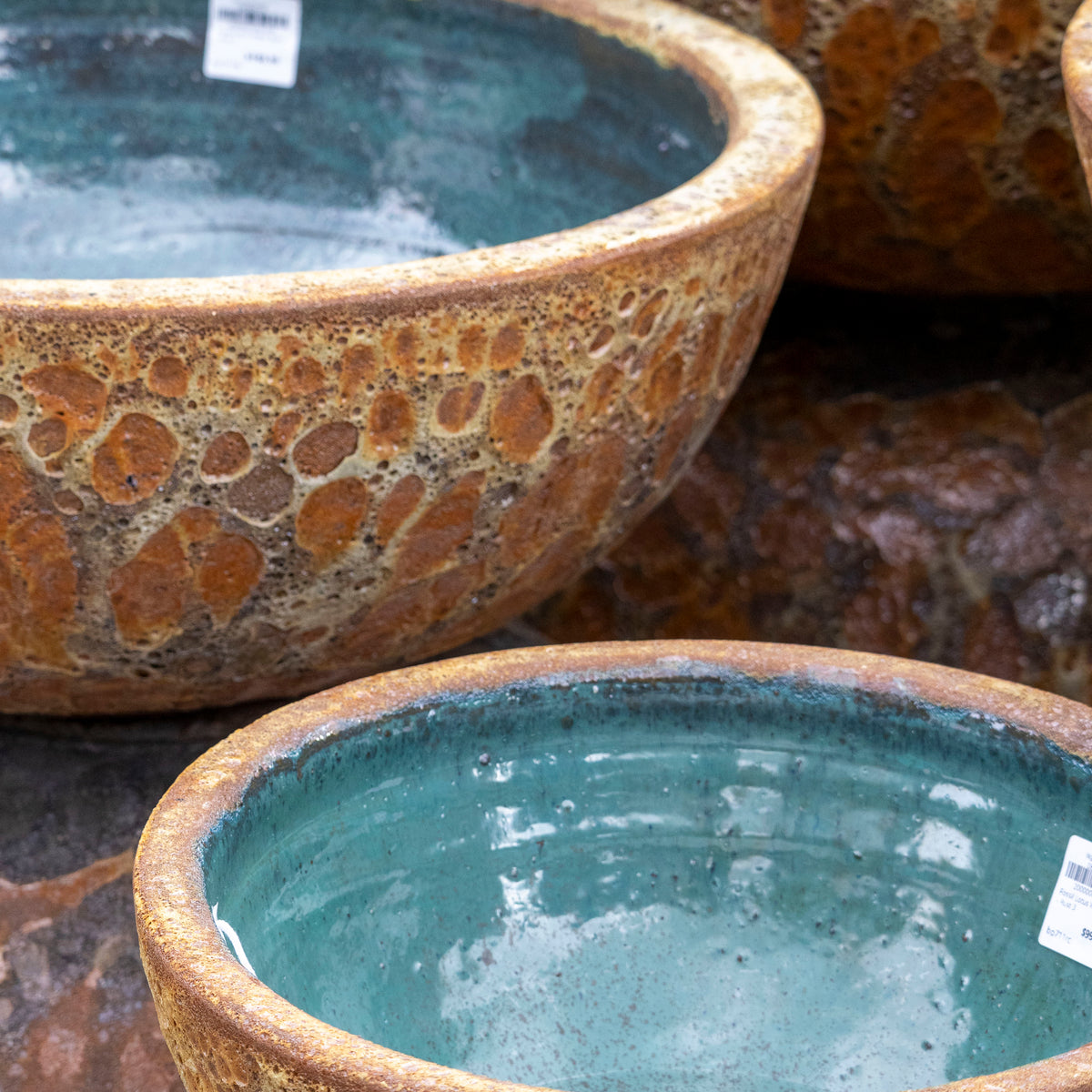 Fossil Lotus Water Bowl - Rust