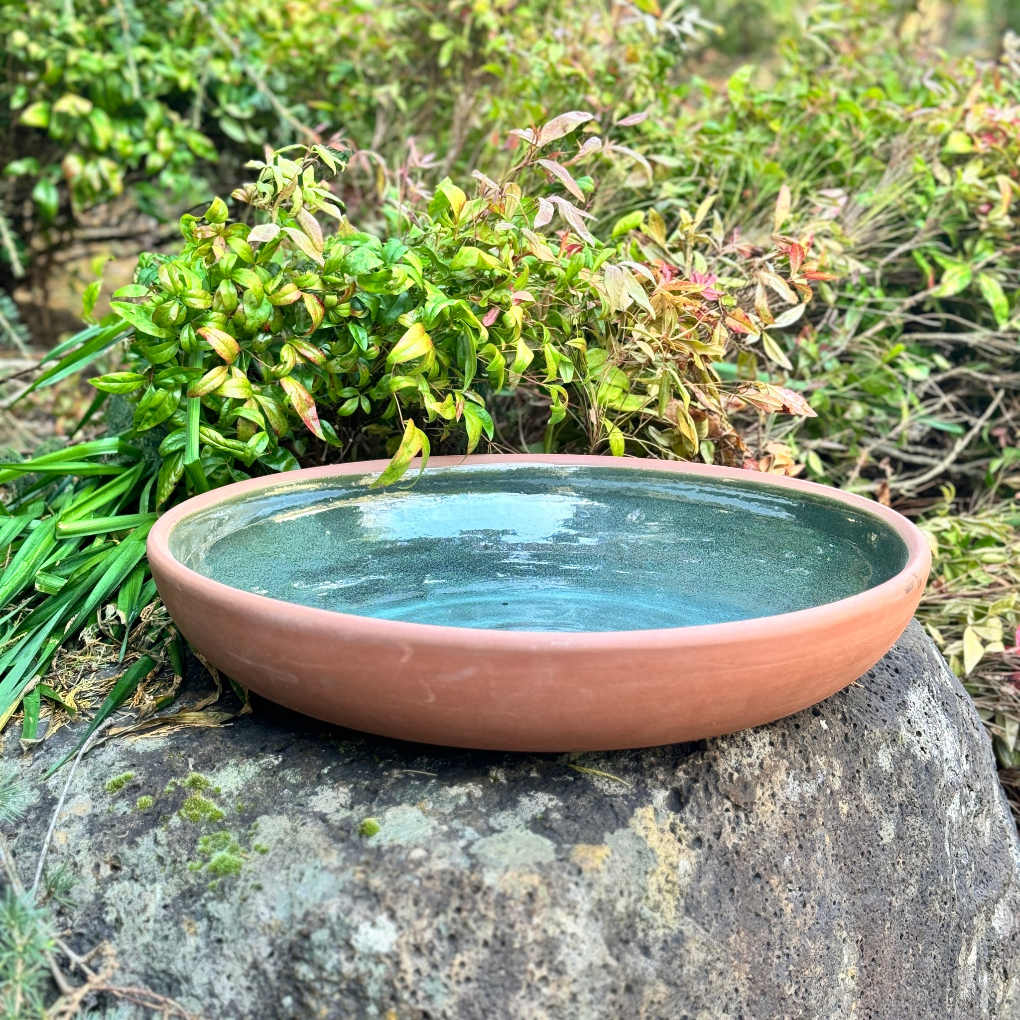 Aura Water Bowl -