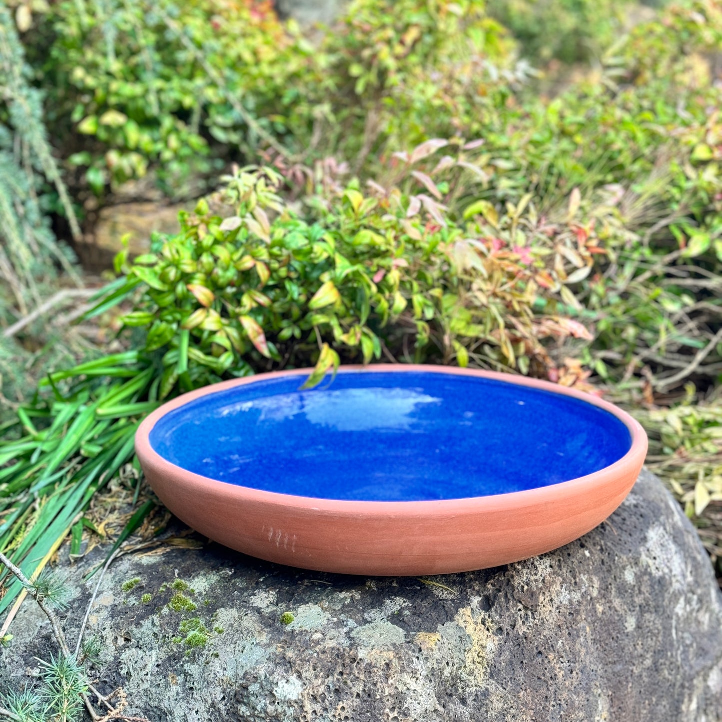 Aura Water Bowl -