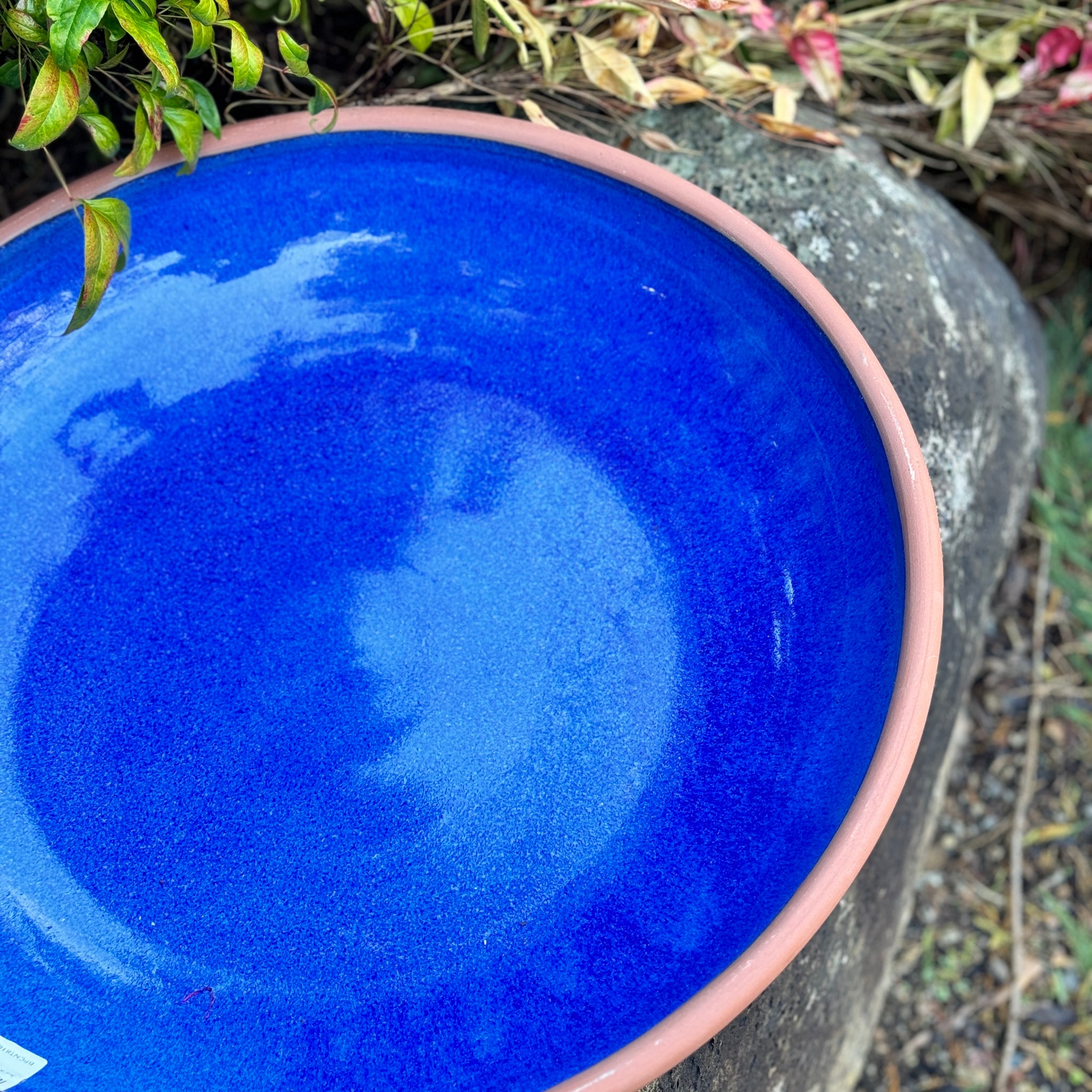 Aura Water Bowl -