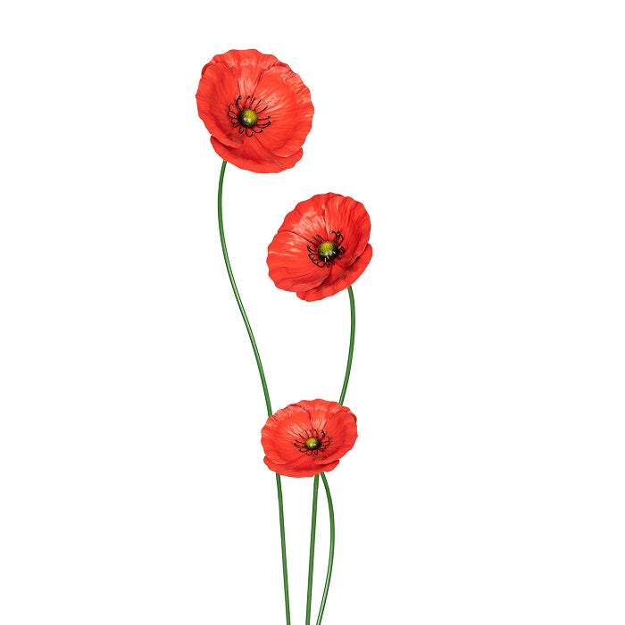 Stake Poppy - Red