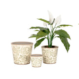 Tall Pot - Green Flower