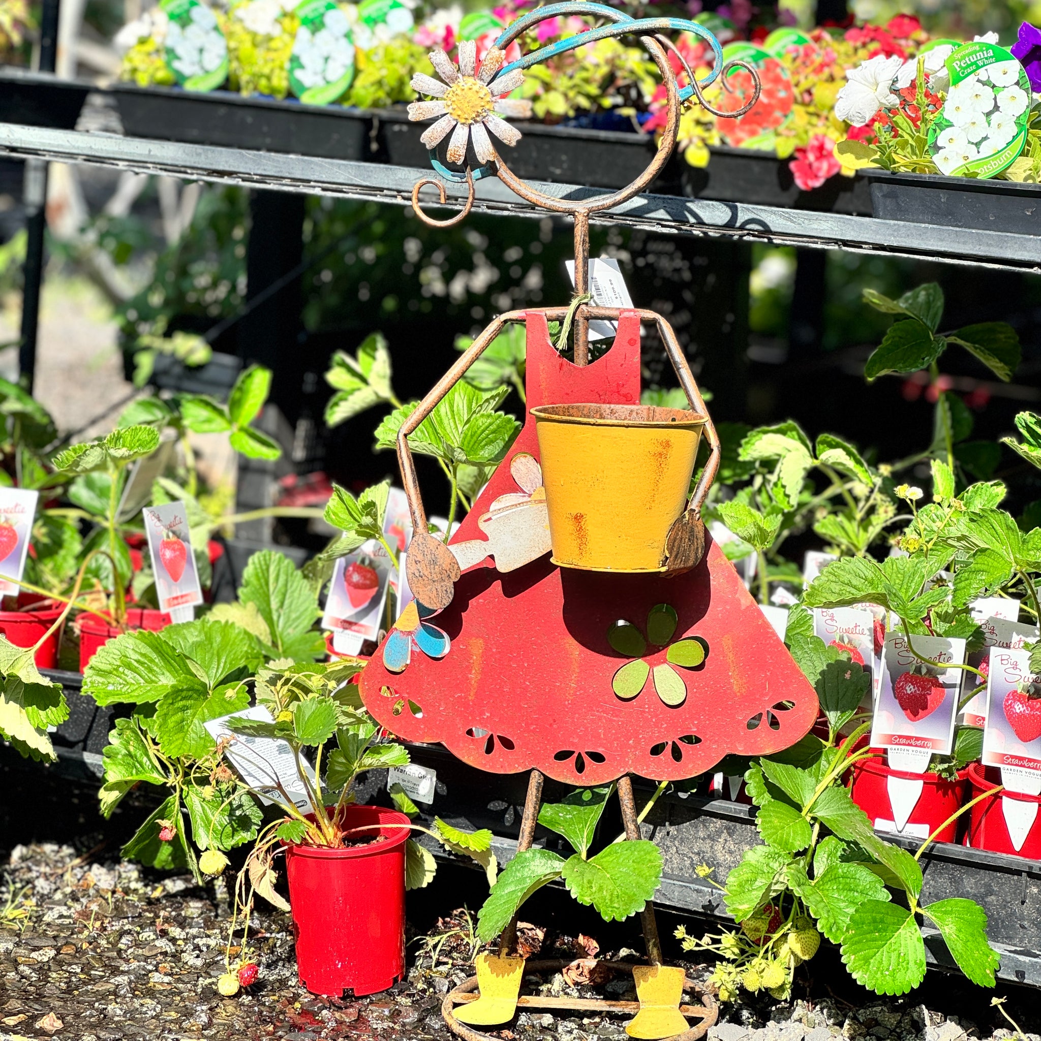 Colourful Farm Kid Planter -