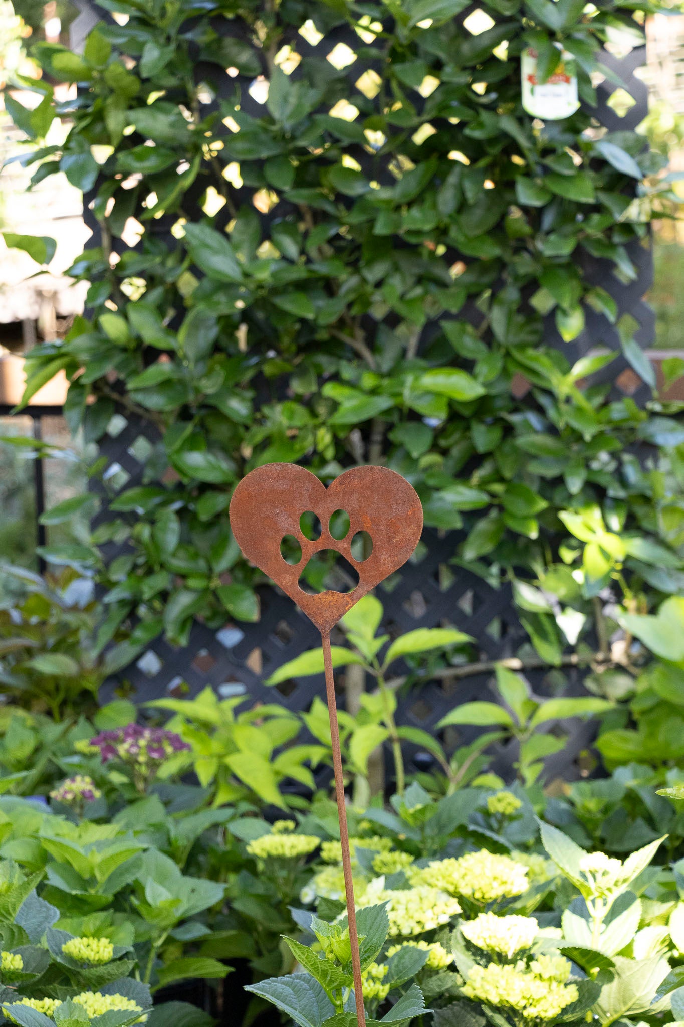 Pet Print Rust Stake - Large