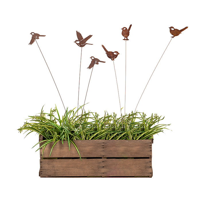 Bird Spray - Rust