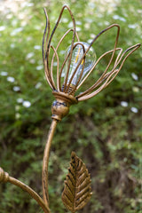 Double Flower Solar Light