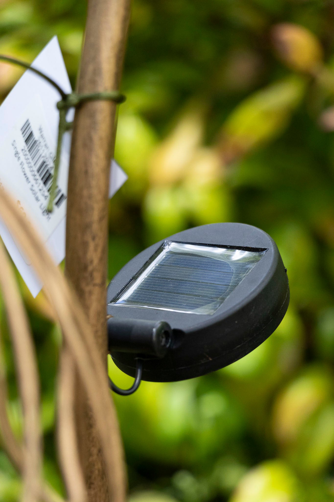 Single Flower Solar Light
