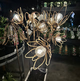 Single Flower Solar Light