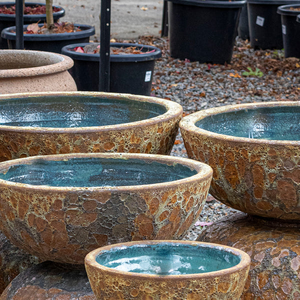 Fossil Lotus Water Bowl - Rust